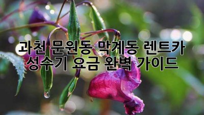 과천 문원동, 막계동 렌트카 성수기 요금 완벽 가이드