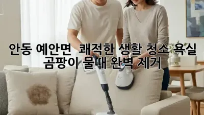 안동 예안면 🏡 쾌적한 생활 청소, 욕실 ✨ 곰팡이 물때 완벽 제거!