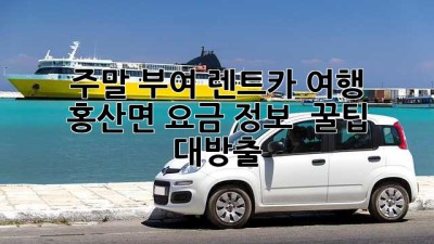 주말 부여 렌트카 여행 🚗 홍산면 요금 정보 & 꿀팁 대방출!